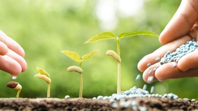 Convocatoria pública para el suministro de fertilizantes